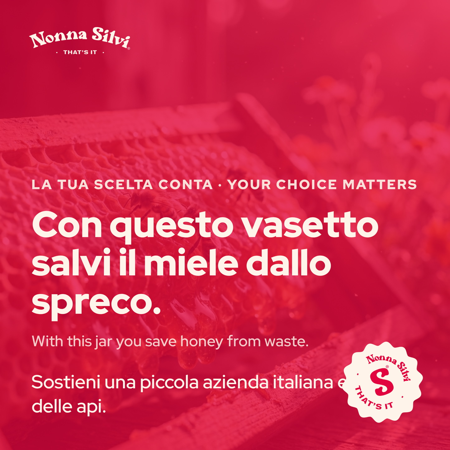Miele Millefiori — La Dispensa (12 vasetti)