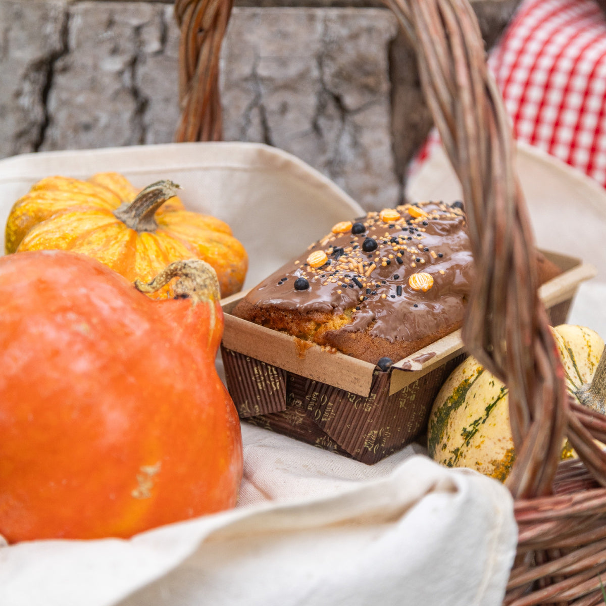 Plumcake alla zucca e nocciola con glassa al cioccolato al latte
